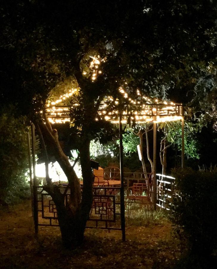 Bed and Breakfast La Cactee Singuliere Béziers Exterior foto