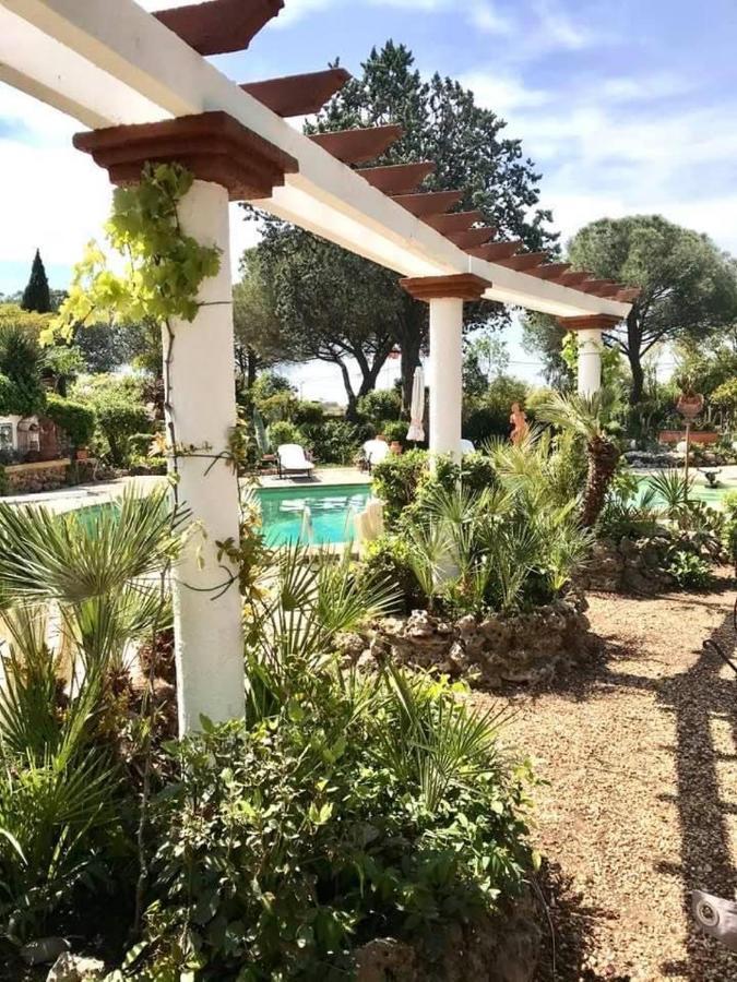 Bed and Breakfast La Cactee Singuliere Béziers Exterior foto